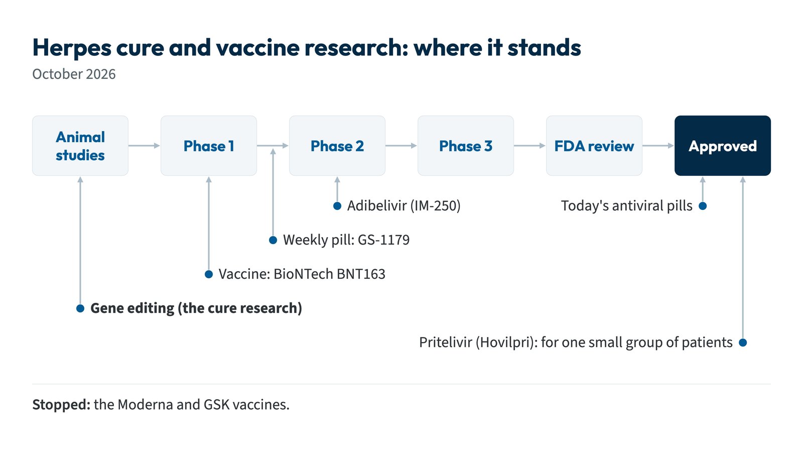 How far away is a cure for herpes: the testing steps and where gene editing, vaccines and new drugs stand in October 2026