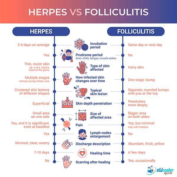 This infographic provides a summary of the comparison between genital herpes and folliculitis (also known as pimples)