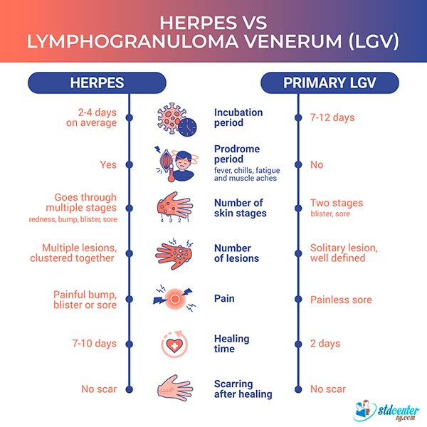 This infographic provides a summary of the comparison between genital herpes and LGV (Lymphogranuloma venerum)
