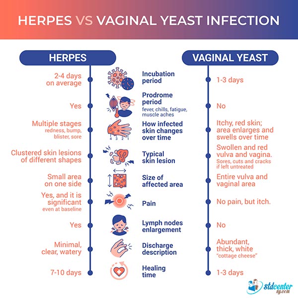 This infographic provides a summary of the comparison between genital herpes and vaginal yeast infection