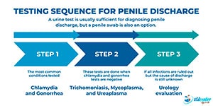 Testing sequence for penile discharge.