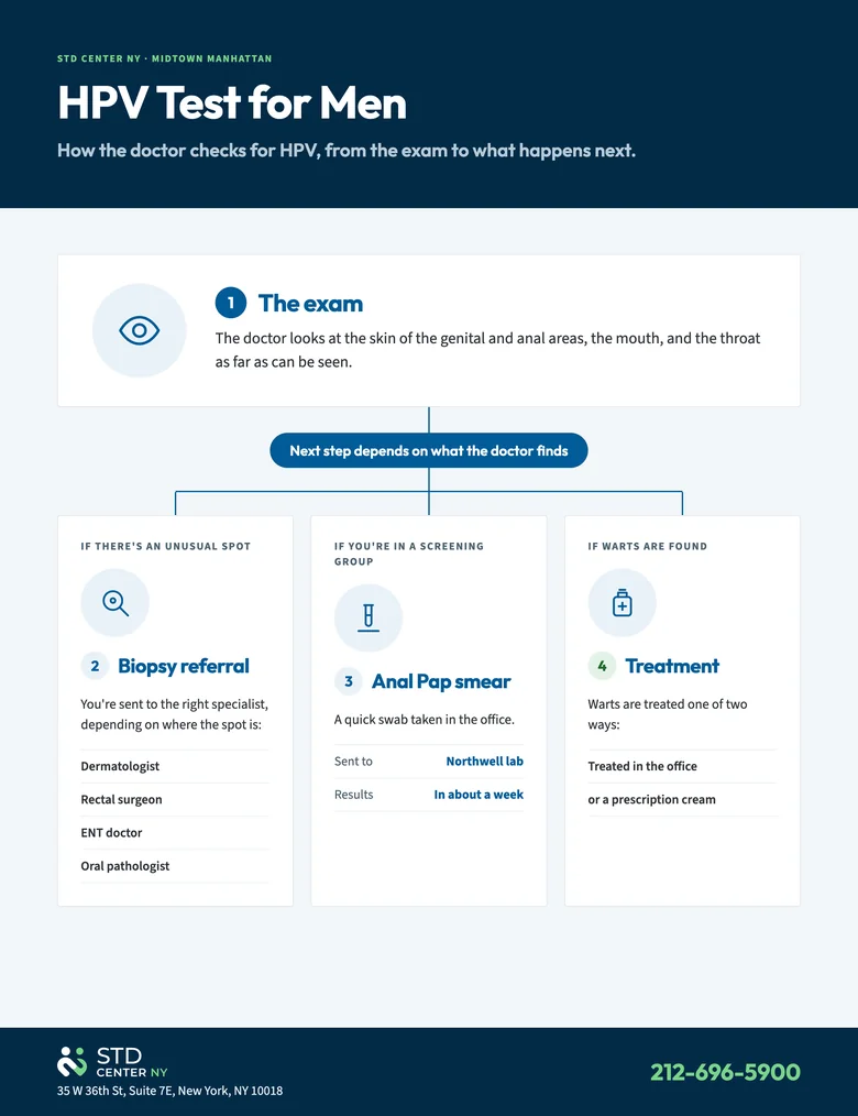 HPV test for men: how a doctor at STD Center NY checks for HPV, from exam to biopsy referral and anal Pap